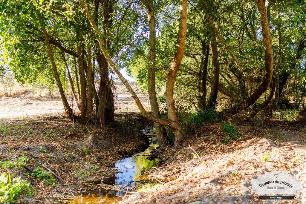 Отель Quinta Da Saudade Понти-ди-Сор Экстерьер фото